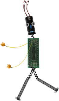 BitBot Rejoices for his BitScope